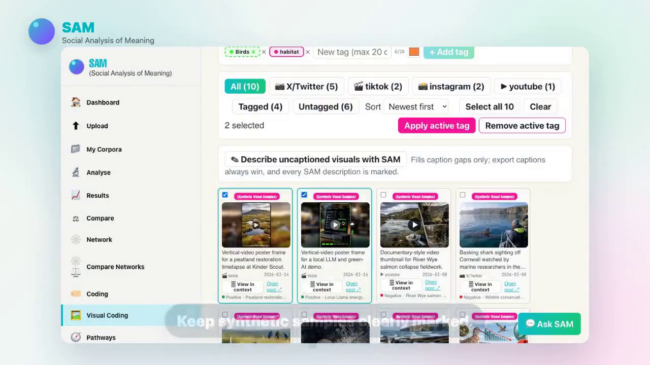 Visual Coding workspace with images and researcher-applied tags